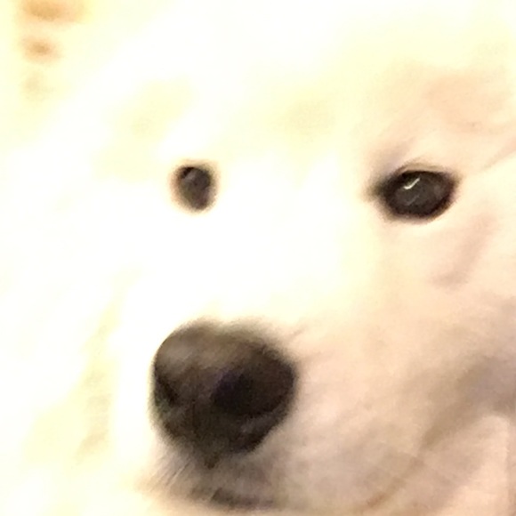 Meet your Posher, Simran - Picture 1 of 1